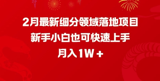 2月最新细分领域落地项目，新手小白也可快速上手，月入1W-忧忧资源网