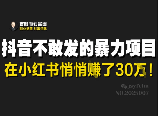 抖音不敢发的暴利项目，在小红书悄悄挣了30W-忧忧资源网
