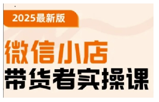 2025最新版微信小店带货者实操课，基础操作到高级运营技巧，快速上手-忧忧资源网