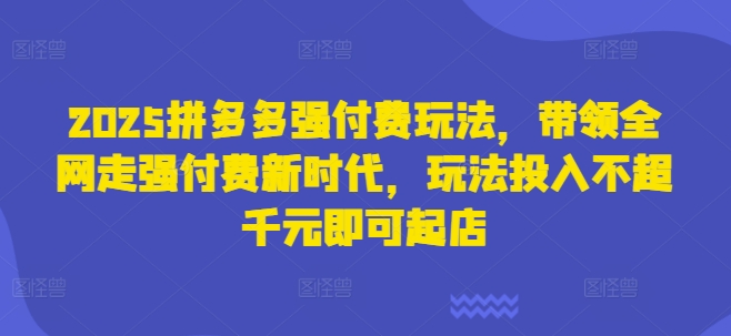 2025拼多多强付费玩法，带领全网走强付费新时代，玩法投入不超千元即可起店-忧忧资源网