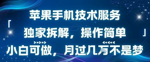 苹果手机技术服务，独家拆解，操作简单，小白可做，月过1W不是梦-幽忧帮