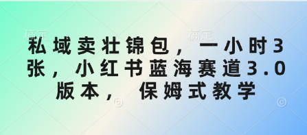 私域卖壮锦包，一小时3张，小红书蓝海赛道3.0版本， 保姆式教学-忧忧资源网