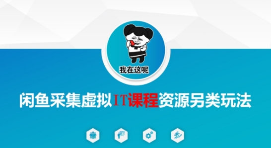 闲鱼采集虚拟IT课程资源另类玩法，干货满满-幽忧帮
