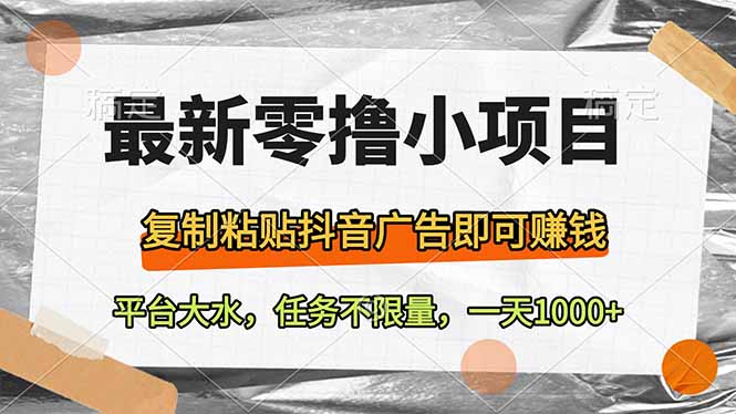 最新零撸小项目，复制粘贴抖音广告即可赚钱，平台大水，任务不限量，一…-忧忧资源网