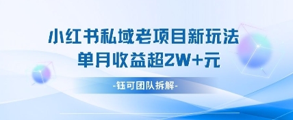 小红书私域项目新玩法，单月变现过W+-忧忧资源网