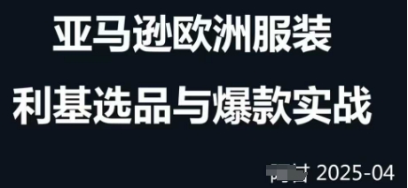 跨境电商选品案例24-25年，聚焦跨境电商选品策略与运营优化，助力卖家挖掘蓝海市场-忧忧资源网