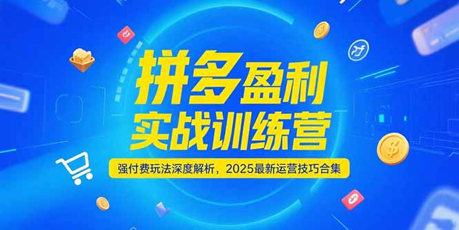 拼多多盈利实战训练营，强付费玩法深度解析，2025运营技巧合集-更新6月-幽忧帮