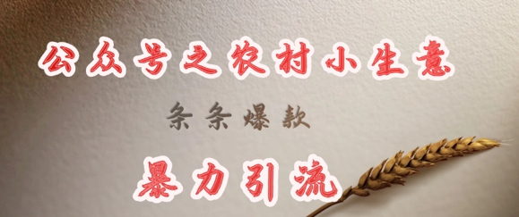 deepseek写农村小项目，条条爆款，暴力引流-忧忧资源网