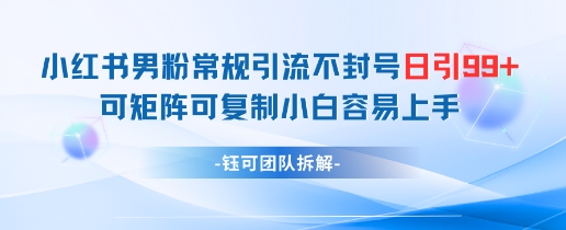 小红书男粉常规引流不封号日引99+变现简单 可矩阵可复制小白容易上手-忧忧资源网