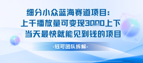 小众蓝海赛道项目：当天变现1k+适合新手操作 +适合长期玩-幽忧帮