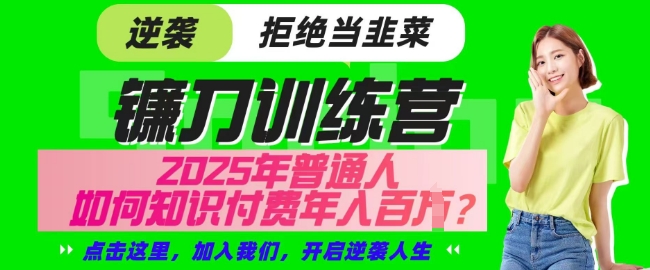 【网创项目终点站-镰刀训练营超级IP合伙人】25年普通人如何通过知识付费实现逆袭【揭秘】-忧忧资源网
