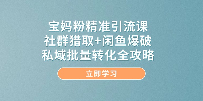 宝妈粉精准引流课，社群猎取+闲鱼爆破，私域批量转化全攻略-忧忧资源网