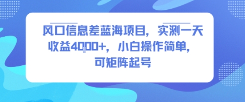 风口信息差蓝海项目，实测一天收益4k+，小白操作简单，可矩阵起号-幽忧帮