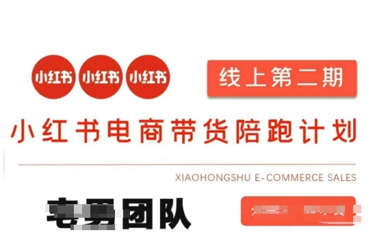 小红书电商带货课2期，月利润20个的小红书电商的有货源，无货源，虚拟产品，付费投流等整套玩法-忧忧资源网