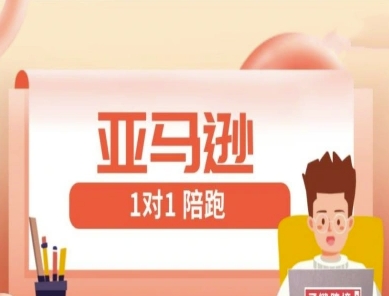 亚马逊1对1陪跑课(FBA/FBM精铺)跨境亚马逊教程-忧忧资源网