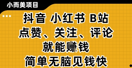 小而美的项目，抖音小红书B站视频点赞、关注、评论就能挣钱，简单无脑立见收益，妥妥的零撸项目【揭秘】-忧忧资源网