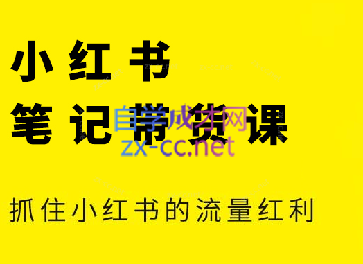 张宾·小红书笔记带货课(更新5月)-幽忧帮