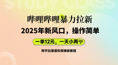哔哩哔哩暴力拉新：2025年新风口，一单12元，一天数张(附开白渠道和保姆级教程)-忧忧资源网