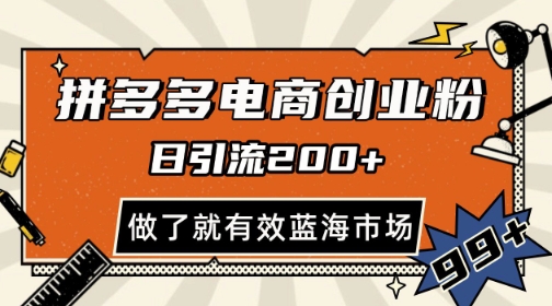 拼多多引流电商创业粉，日引200+，可矩阵放大，做了就有效【揭秘】-忧忧资源网