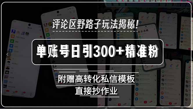 评论区野路子玩法揭秘！单账号日引300+精准粉，附赠高转化私信模板，直…-幽忧帮