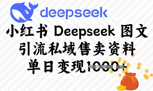 小红书Deepseek 图文引流私域售卖资料，单日变现多张-忧忧资源网