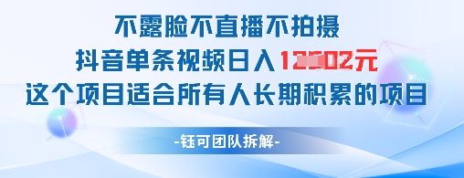 不露脸不直播不拍摄抖音单条视频日入1k+这个项目适合所有人长期积累的项目-忧忧资源网