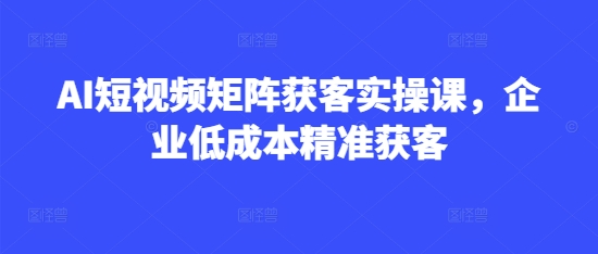 AI短视频矩阵获客实操课，企业低成本精准获客-忧忧资源网
