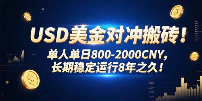 USD美金对冲搬砖!单人单日800-2000CNY，长期稳定运行8年之久!-幽忧帮